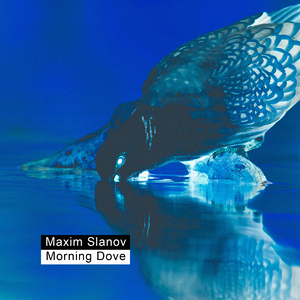 虐手指奴欧美调教
