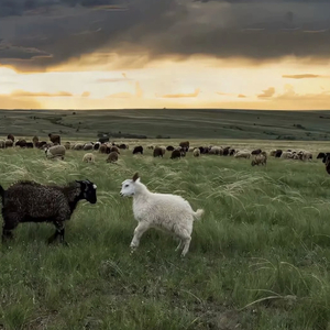 虐手指奴欧美调教
